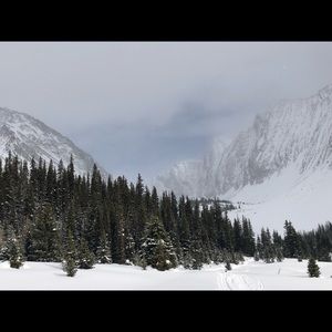 Meet your Posher, Shane